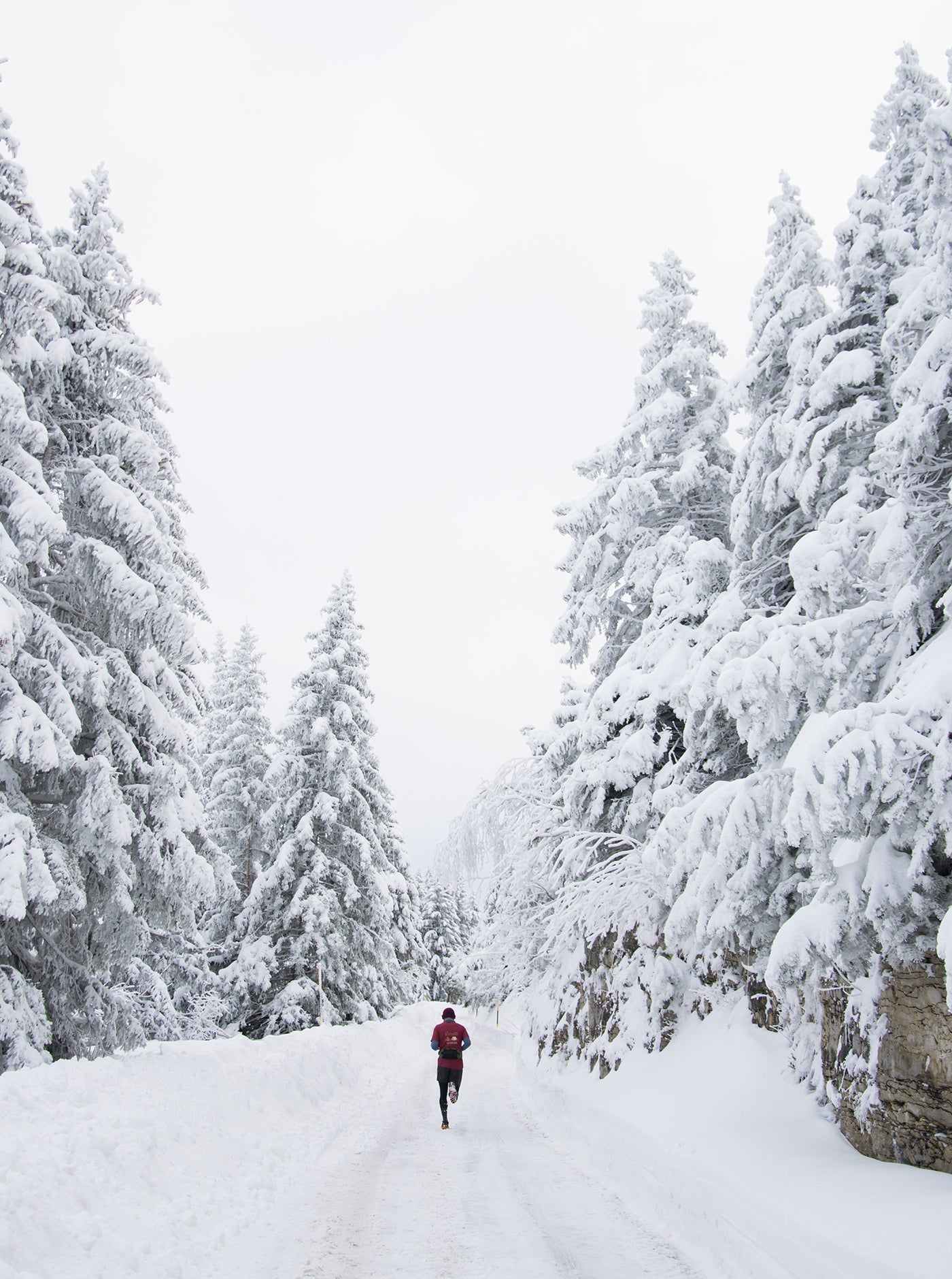 Merino Cross Socks Regular - Hazel Brown