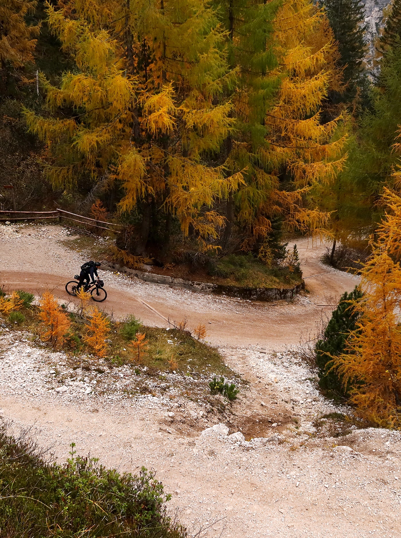 Cycling Cap - Stay Wild - Forest Green