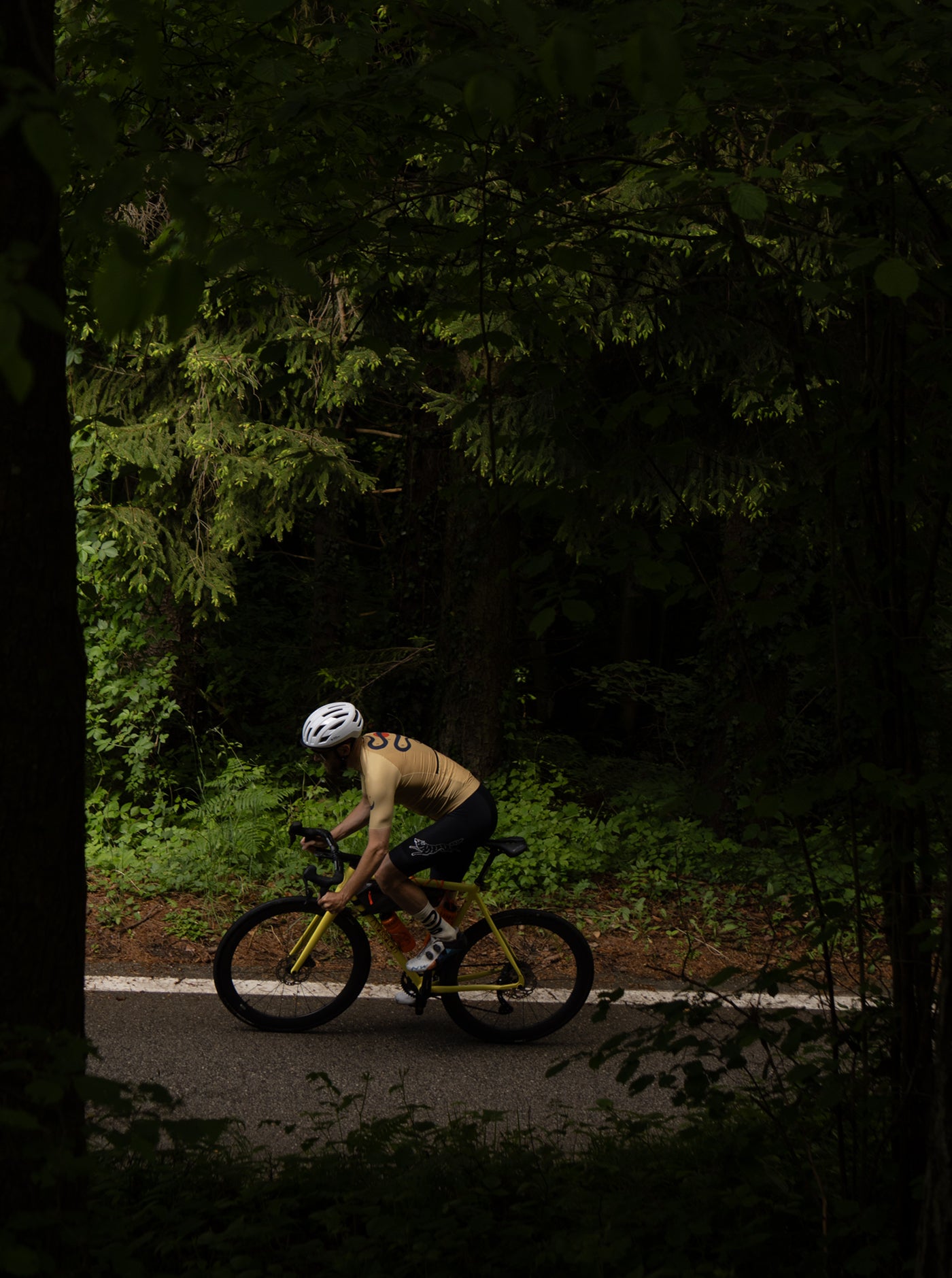 Cycling Jersey - Snakebite - Honey Gold