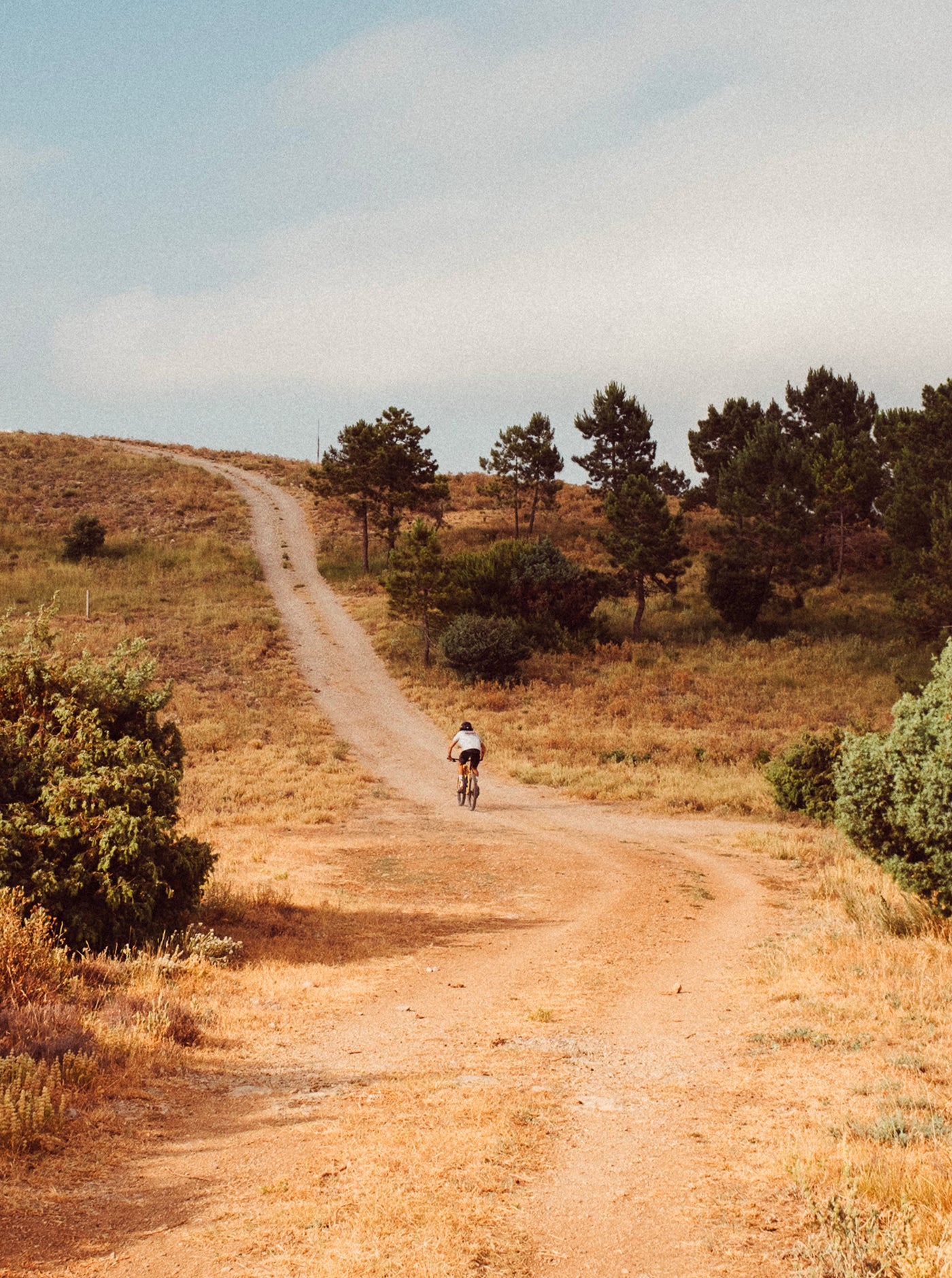 Trail T-Shirt - Massacan