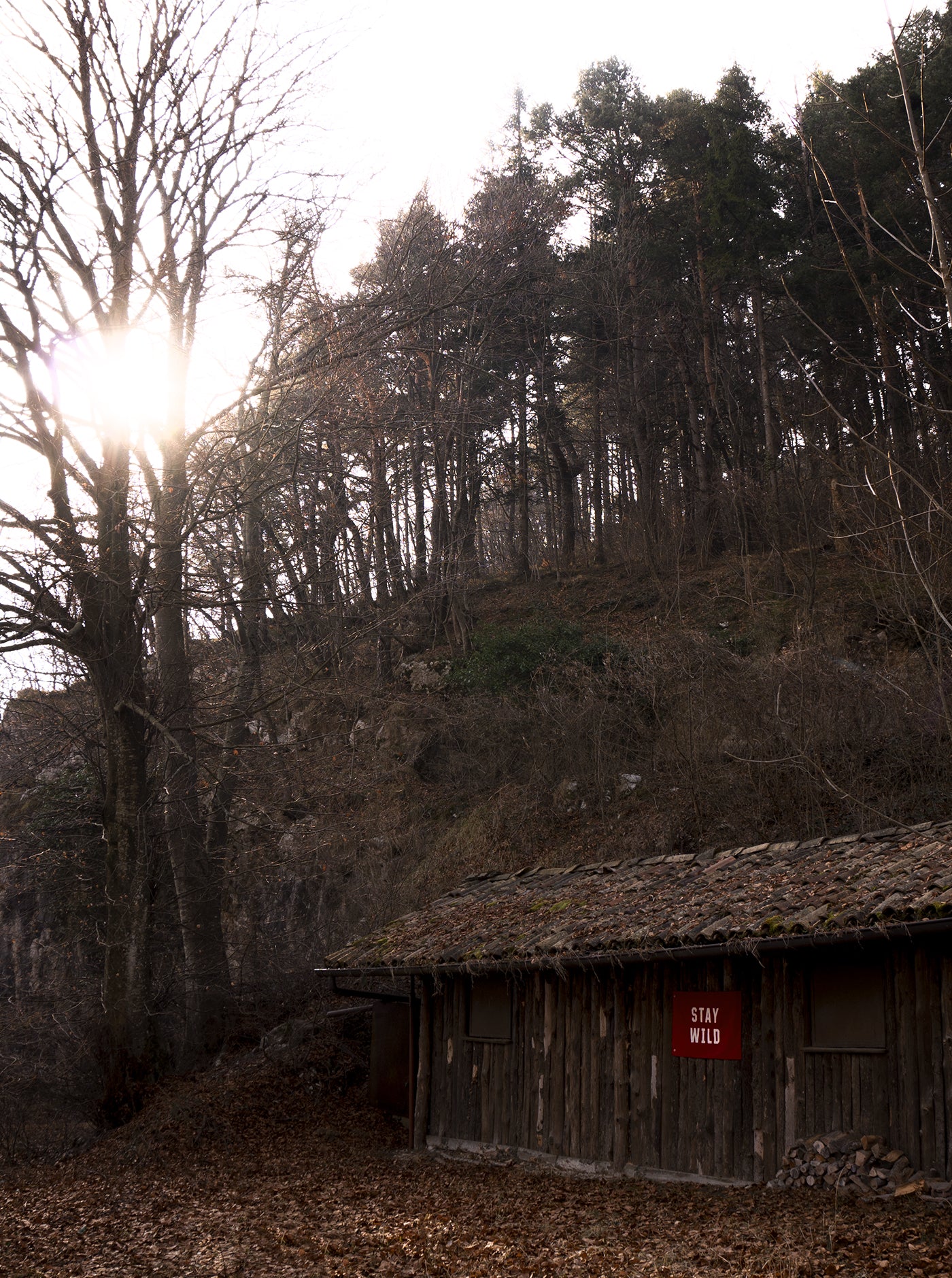 Stay Wild Flag