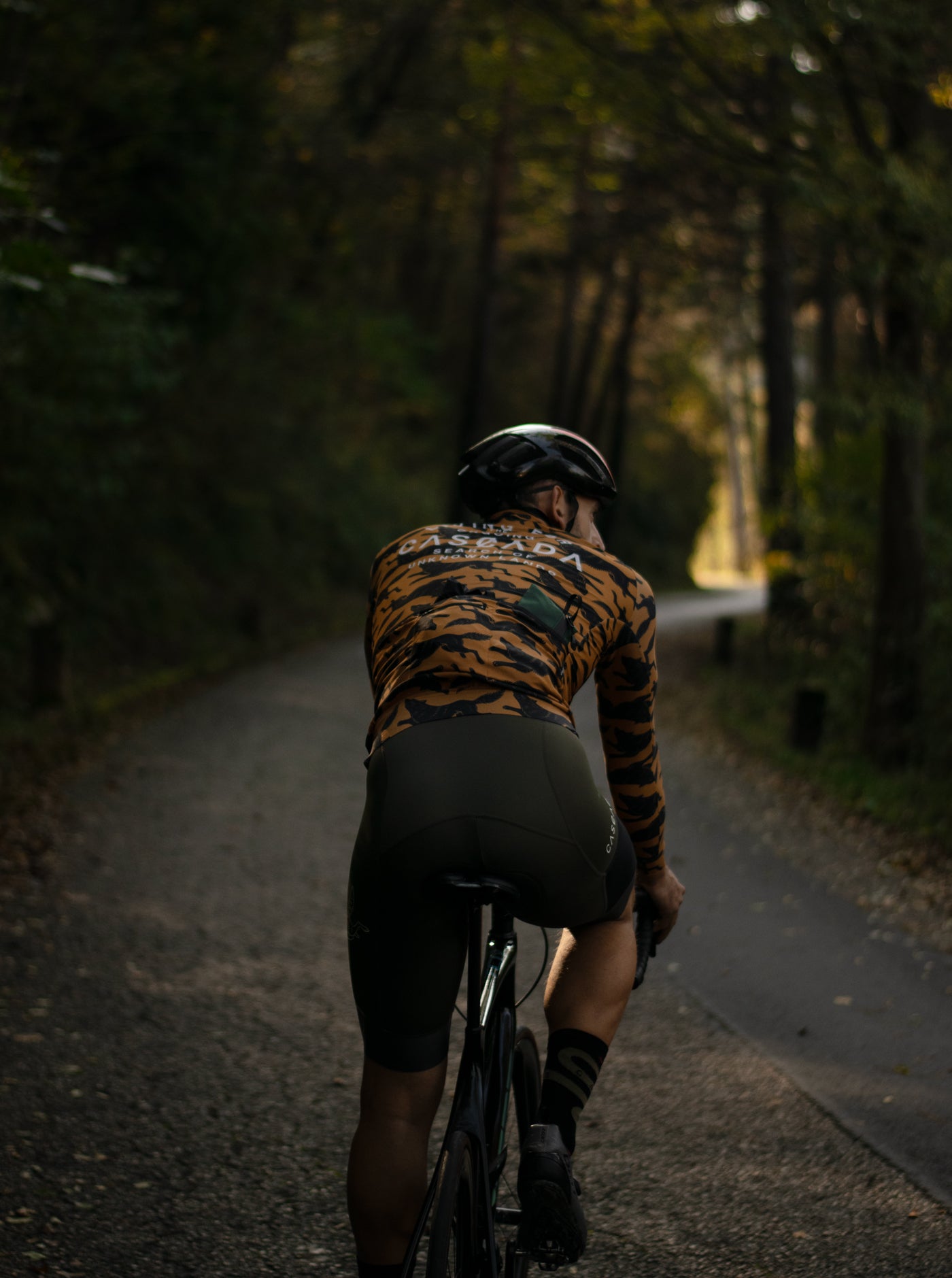 Cycling Long Sleeve Jersey - Wolfpack