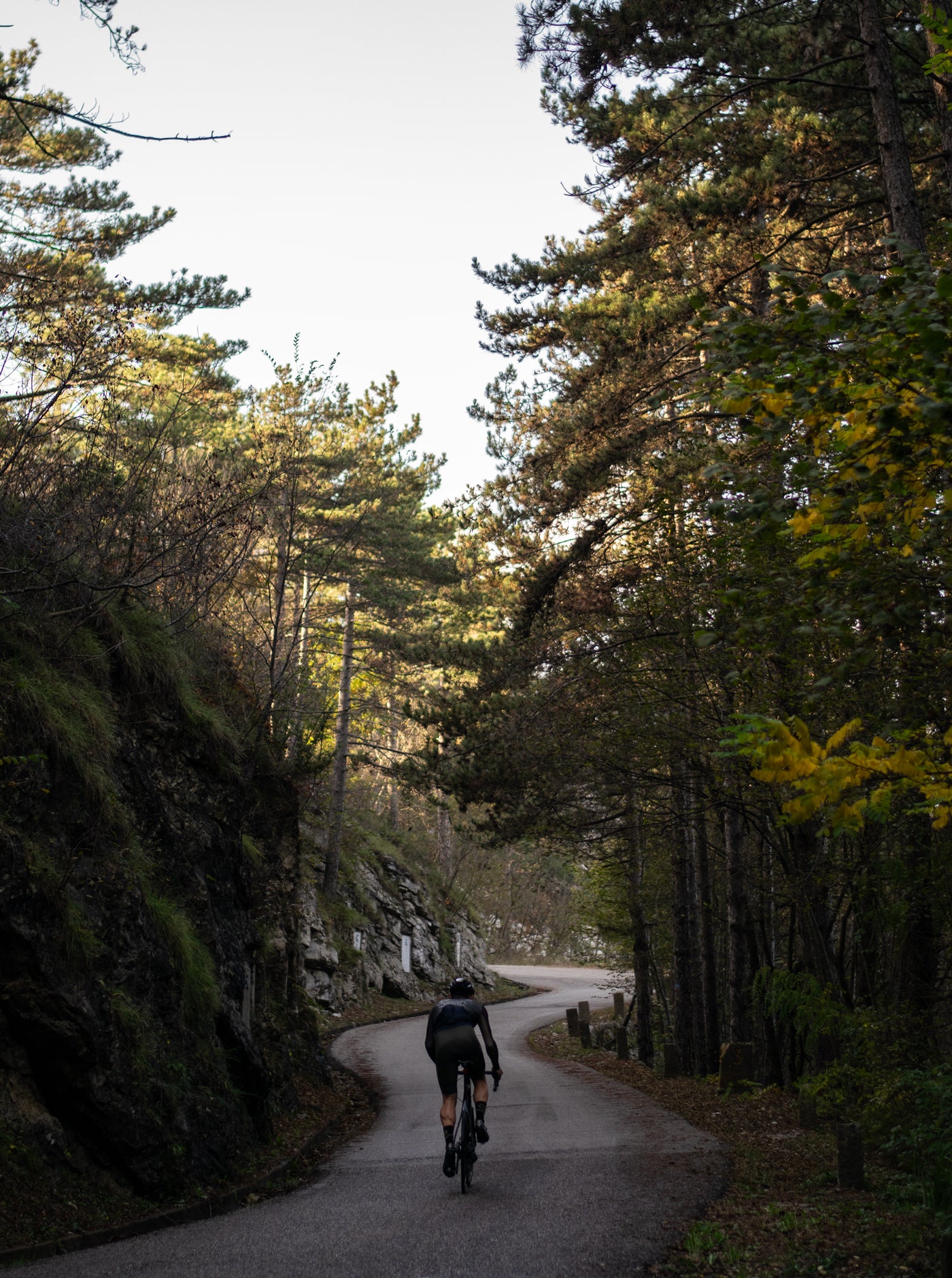 Cycling Long Sleeve Jersey - Bush