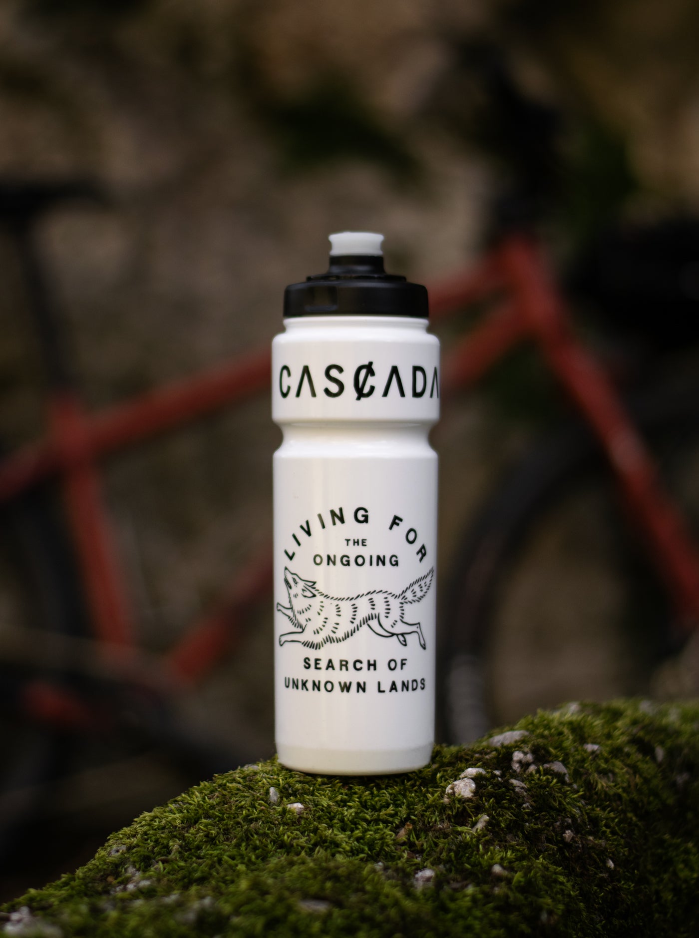 Signature Bidon - White