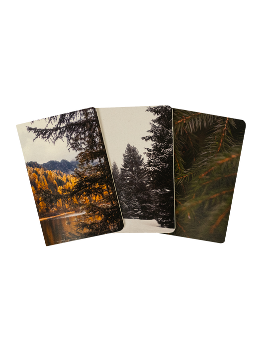 Adventure Notes - Northwoods