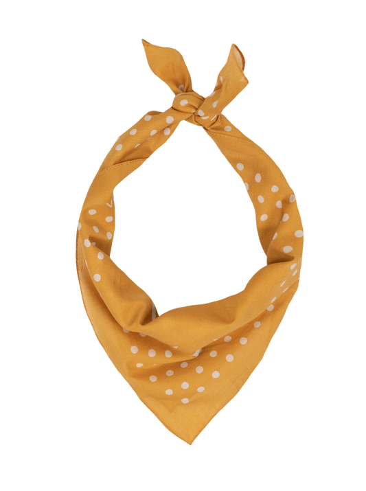 Solo Escapism Bandana
